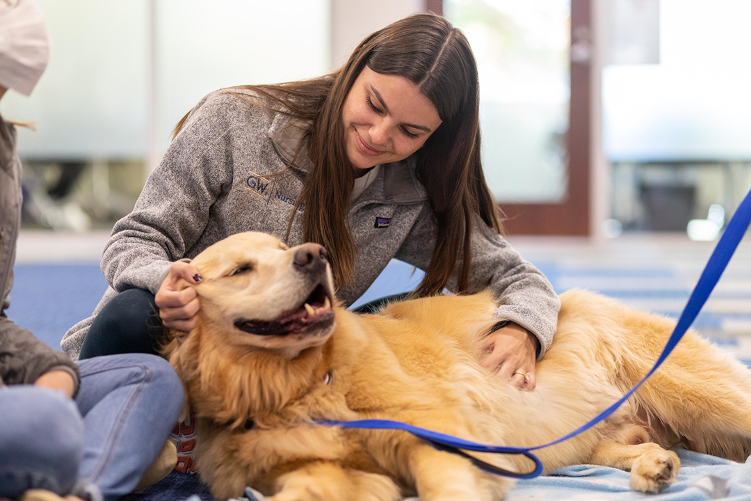 Dog with GW Nursing student on Doggie Destress Day