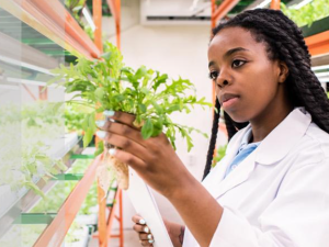 Global Food Institute promo image