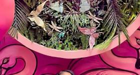 AlexAndra Clark, SON Student